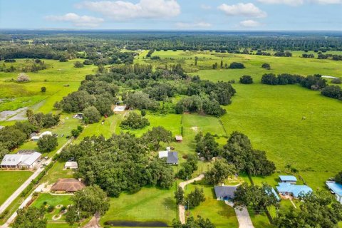 Land in Plant City, Florida № 1900179 - photo 7