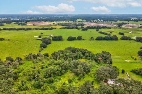 Land in Plant City, Florida № 1900179 - photo 21