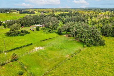 Land in Plant City, Florida № 1900179 - photo 14