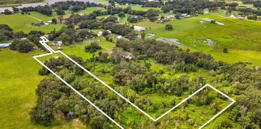 Terreno en Plant City, Florida № 1900179