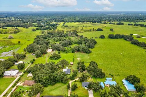 Land in Plant City, Florida № 1900179 - photo 9