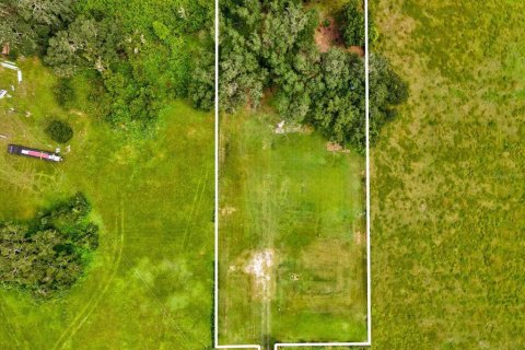 Land in Plant City, Florida № 1900179 - photo 12