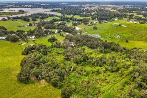 Land in Plant City, Florida № 1900179 - photo 27