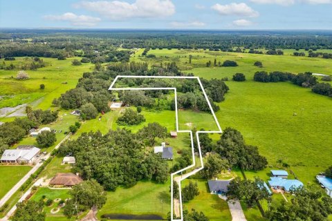 Land in Plant City, Florida № 1900179 - photo 6