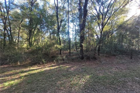 Land in Ocala, Florida № 2161570