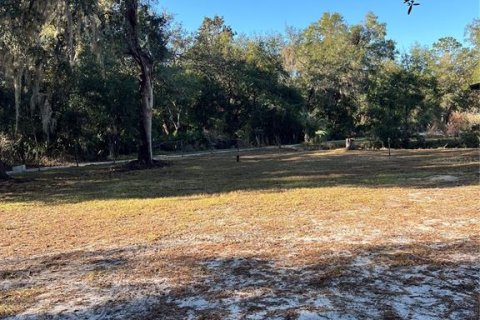 Land in Fort MC Coy, Florida № 1534006 - photo 8