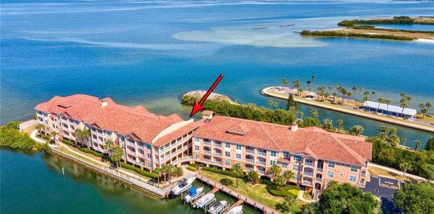 Condo in Tampa, Florida, 1 bedroom № 2112730