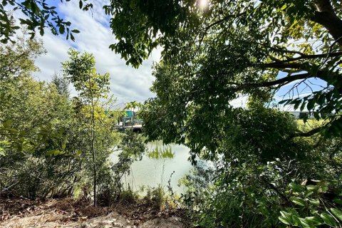 Land in Cape Coral, Florida № 1554128 - photo 2