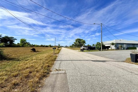 Land in Cape Coral, Florida № 1554128 - photo 3