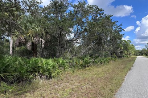 Land in Port Charlotte, Florida № 2159260