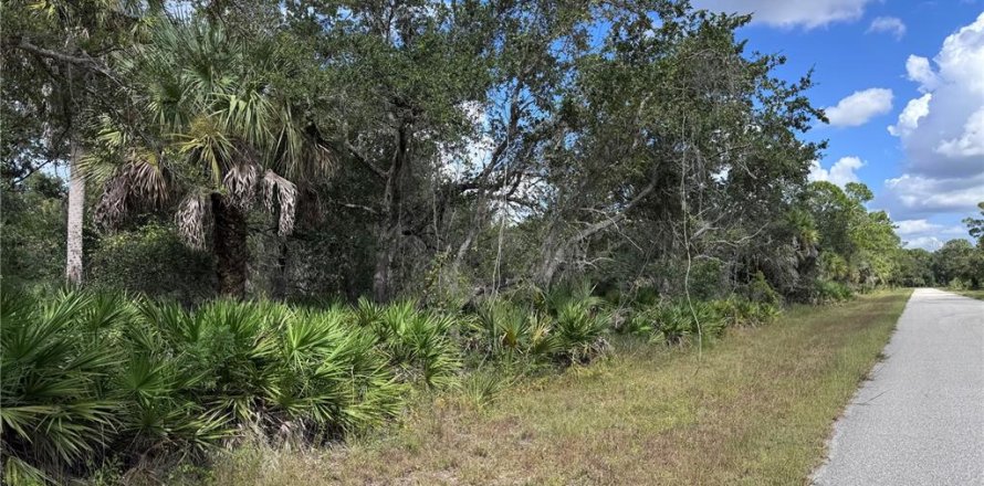 Land in Port Charlotte, Florida № 2159260