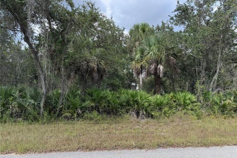 Land in Port Charlotte, Florida № 2159260 - photo 2