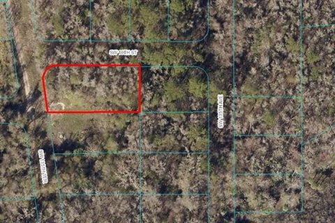 Terreno en Ocala, Florida № 2205162