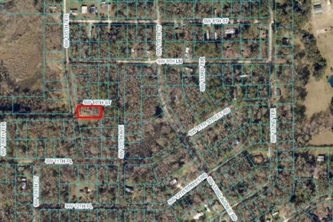 Land in Ocala, Florida № 2205162 - photo 2