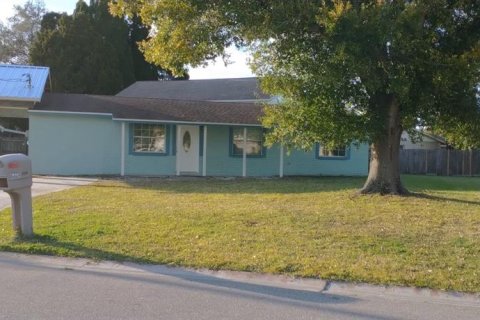 Villa ou maison à louer à Apollo Beach, Floride: 4 chambres, 199 m2 № 2166226 - photo 2