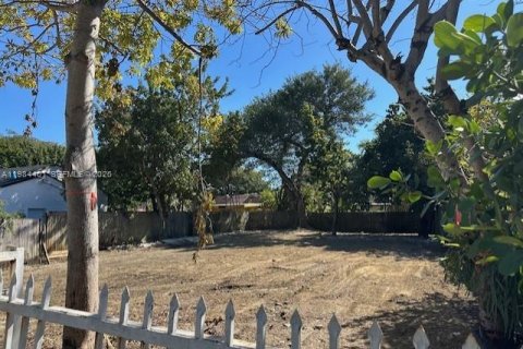 Land in Miami, Florida № 2045695 - photo 2