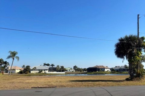 Terrain à Punta Gorda, Floride № 2109048
