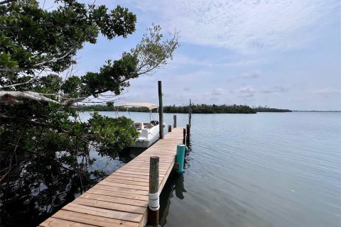 Land in Placida, Florida № 2214568 - photo 6