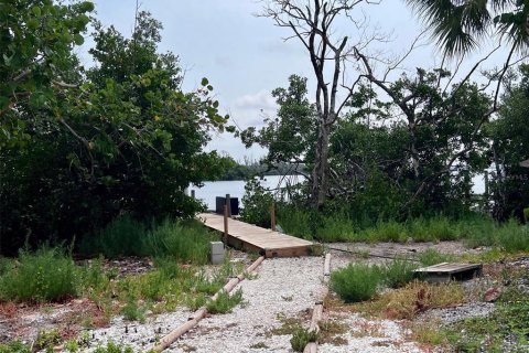 Land in Placida, Florida № 2214568 - photo 4