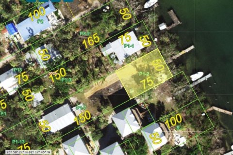 Land in Placida, Florida № 2214568 - photo 2