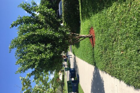 Apartamento en alquiler en Coral Springs, Florida, 2 dormitorios, 71.44 m2 № 1170954 - foto 1
