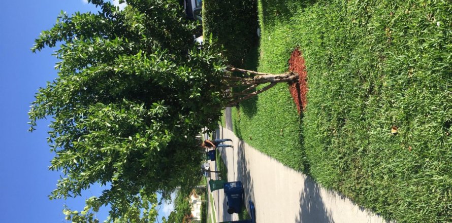 Apartamento en Coral Springs, Florida 2 dormitorios, 71.44 m2 № 1170954
