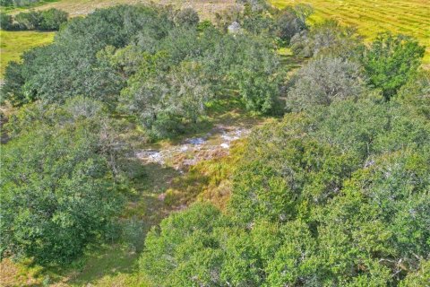 Land in Wauchula, Florida № 1885528 - photo 8
