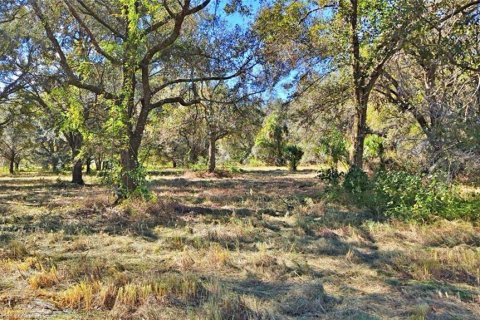 Land in Wauchula, Florida № 1885528 - photo 11