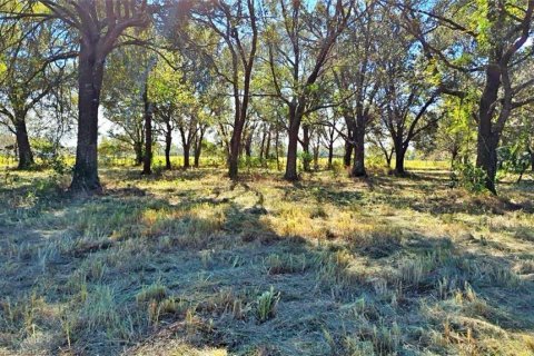 Land in Wauchula, Florida № 1885528 - photo 10