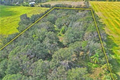 Land in Wauchula, Florida № 1885528 - photo 6