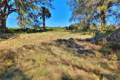 Land in Wauchula, Florida № 1885528 - photo 13