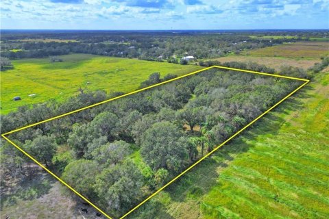 Land in Wauchula, Florida № 1885528 - photo 1