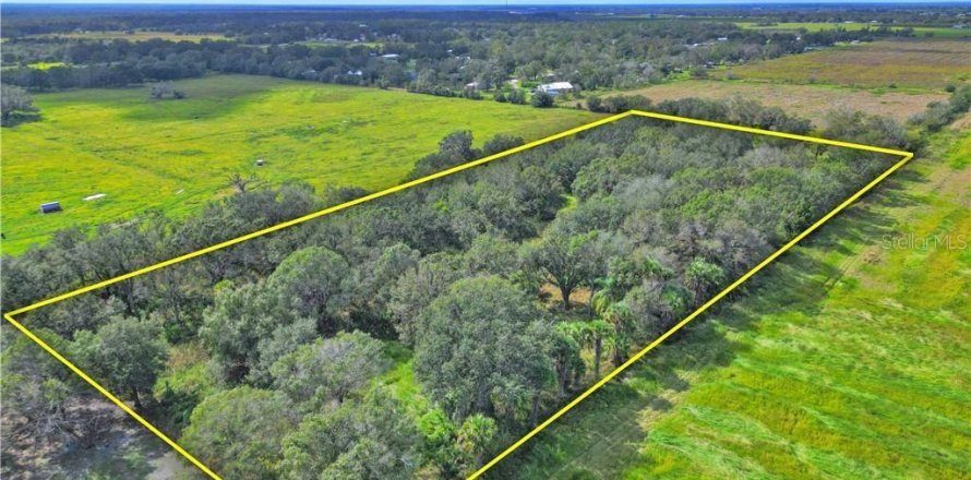 Land in Wauchula, Florida № 1885528
