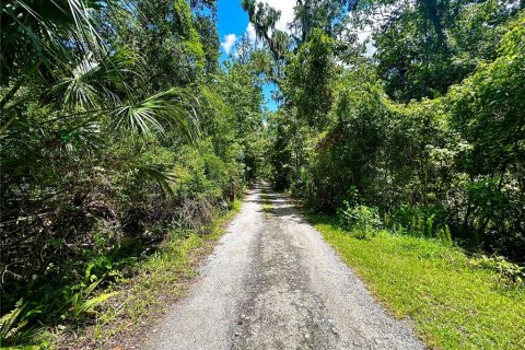 Casa en alquiler en Oviedo, Florida, 5 dormitorios, 277.5 m2 № 1883121 - foto 3