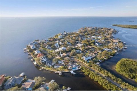 Land in Palm Harbor, Florida № 2122999 - photo 10