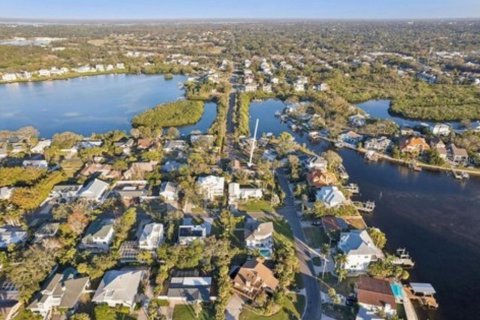 Land in Palm Harbor, Florida № 2122999 - photo 11