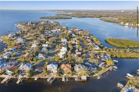 Land in Palm Harbor, Florida № 2122999 - photo 6