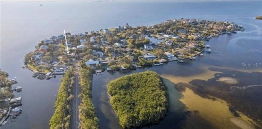 Land in Palm Harbor, Florida № 2122999