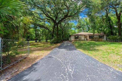 Casa en venta en Inverness, Florida, 4 dormitorios, 214.05 m2 № 2202347 - foto 3