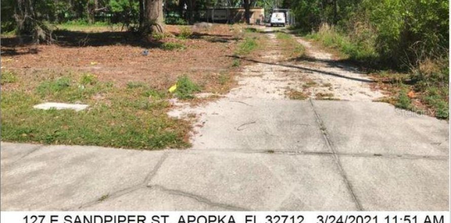 Commercial property in Apopka, Florida № 1564623
