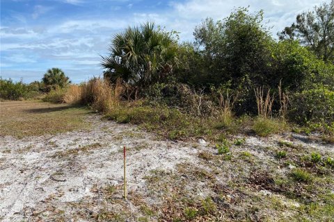 Land in Punta Gorda, Florida № 2161920 - photo 2
