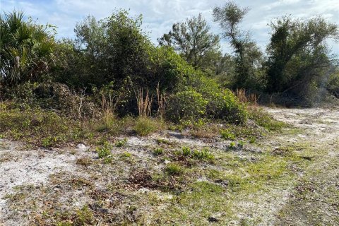 Land in Punta Gorda, Florida № 2161920 - photo 3