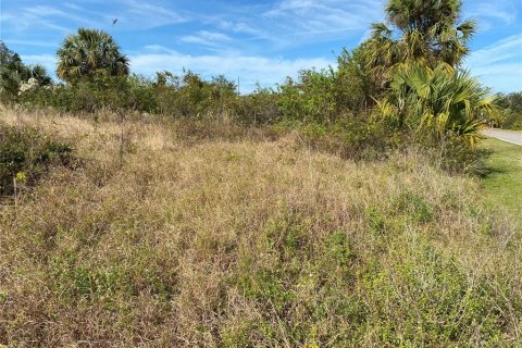 Land in Punta Gorda, Florida № 2161920
