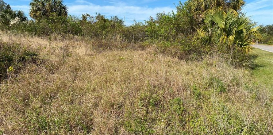 Land in Punta Gorda, Florida № 2161920