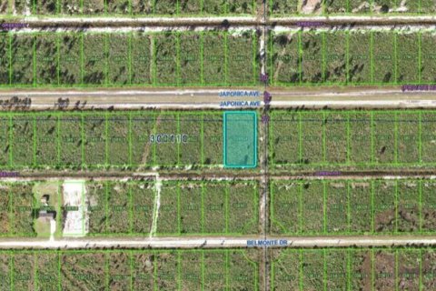 Land in Indian lake estates, Florida № 2118558