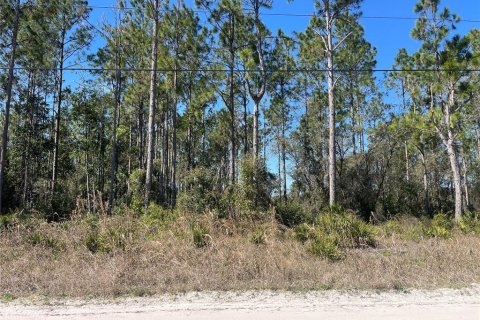 Land in Pierson, Florida № 1528921 - photo 3
