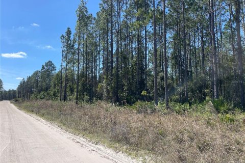 Land in Pierson, Florida № 1528921 - photo 5