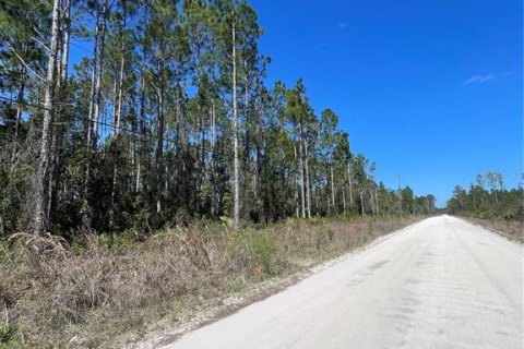 Land in Pierson, Florida № 1528921 - photo 4