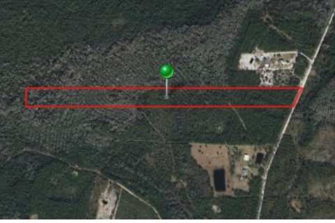 Land in Pierson, Florida № 1528921 - photo 2