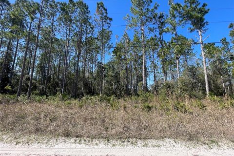 Land in Pierson, Florida № 1528921 - photo 6
